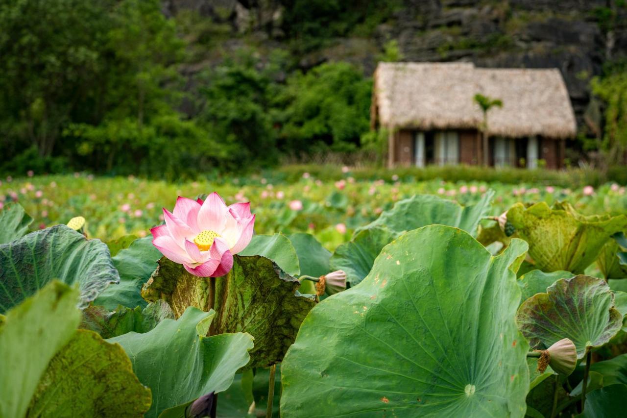 Muong Village ニンビン エクステリア 写真